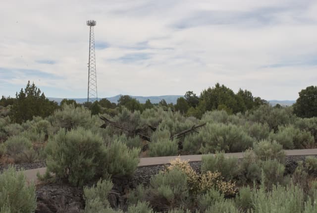 Sagebrush covered lava flow.