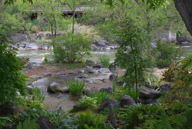 Japanese friendship garden by my hotel.