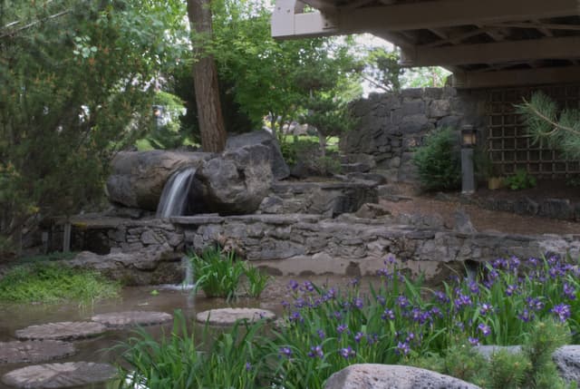 Japanese friendship garden by my hotel.