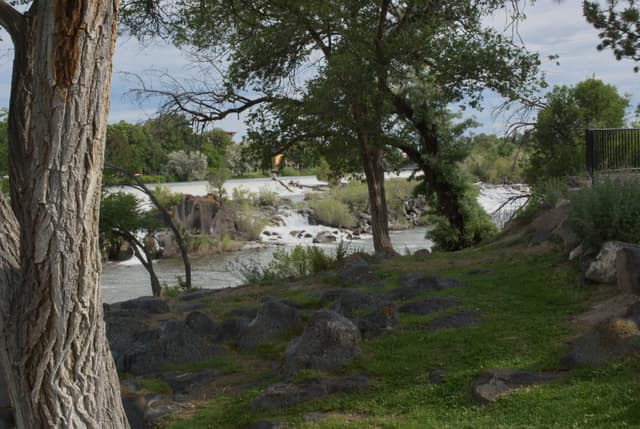 Park by the Falls.