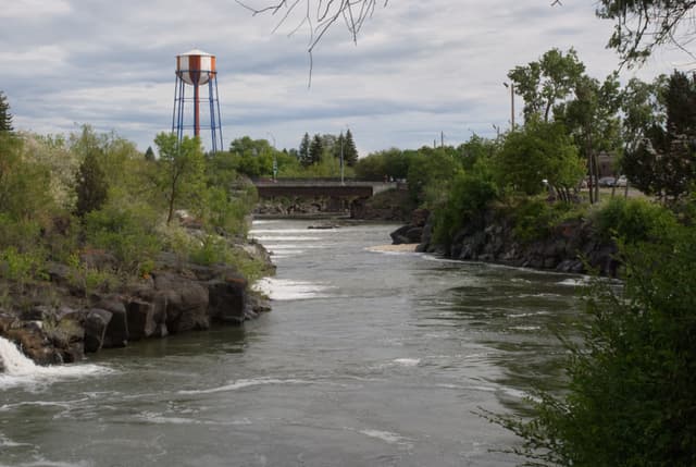 Looking down the Snake River from the Falls.