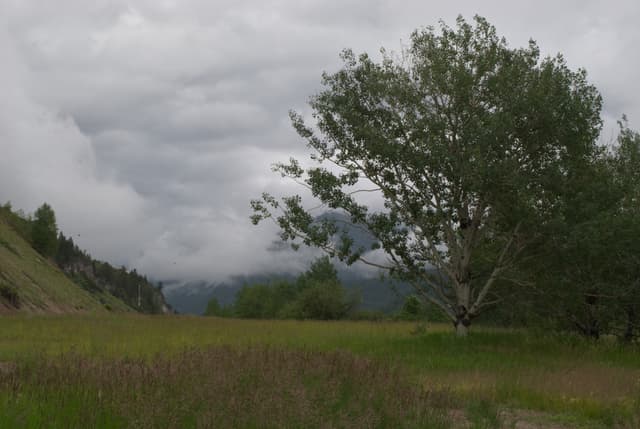 Rainy day by Palisades Reservoir