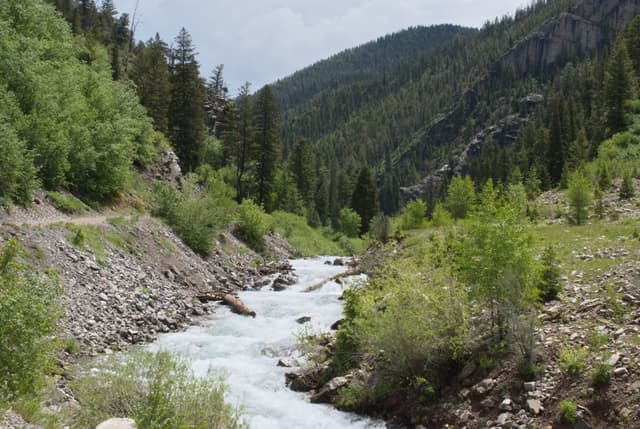 Looking up Swift Creek outside of Afton, Wyoming