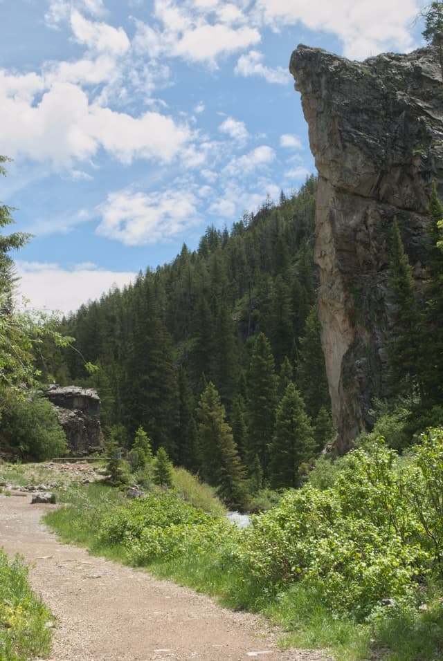 Cliff towering over Swift Creek