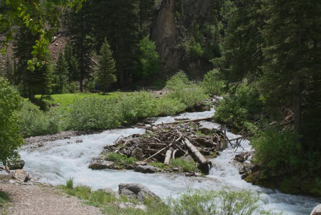 Cascade on the creek