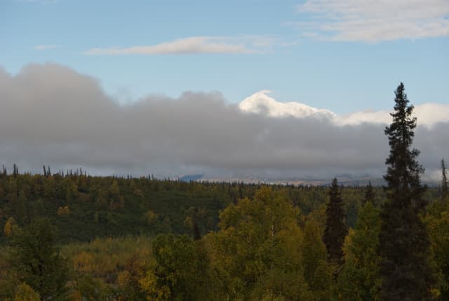 Denali peaking above the clouds.