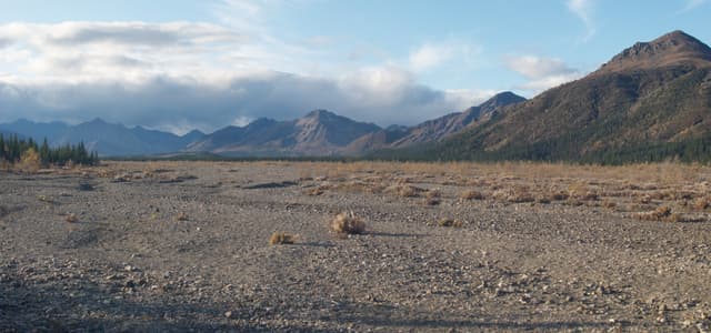 View of the Teklanika River, near where I camped.